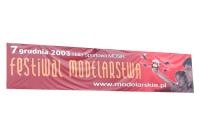 Festival modelarstwa