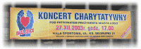 Siatka 20x4m Koncert Charytatywny